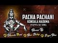 PACHA PACHANI KONDALA NADUMA TENDING 2025 AYAPPA FOLK DJ SONG DJ VAMSHI NIRMAL