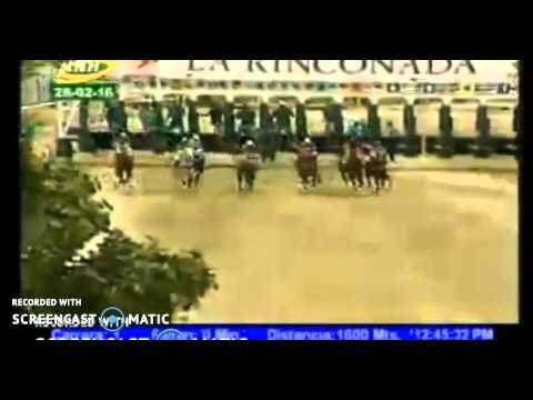 RESUMEN DE LA RINCONADA 28-02-2016