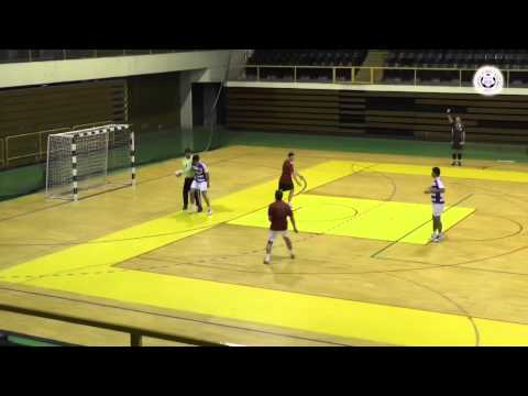 UMN_TV - Domus - Maslinica (Pol 2)