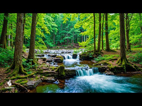 Beruhigende, entspannende Musik zur Beruhigung der Emotionen und zur Erholung der Seele