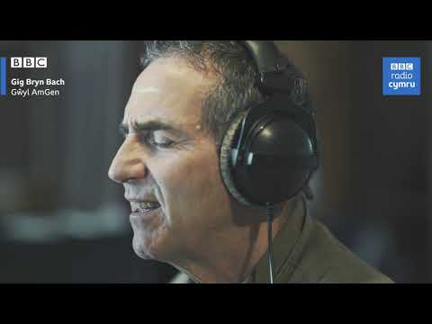 Bryn Fôn  - Paradwys Ffwl