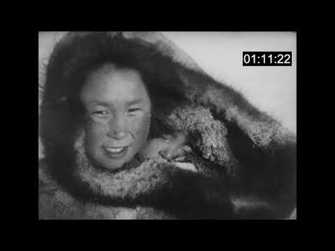 Nanook of the North | 2022 — Composition | Mix | Mastering