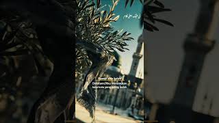 Download lagu Lirik lagu Qorib Minni Swaya kerinduan (latin terjemahan) mp3 Download lagu Lirik lagu Qorib Minni Swaya kerinduan (latin terjemahan) mp3