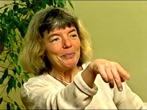 snöstorm -  Gävle 1998