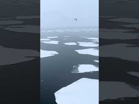 Ever wondered what 10 days at the edge of the world feel like?