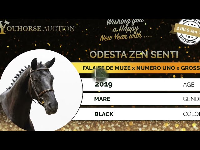 Odesta Zen Senti showvideo outdoor