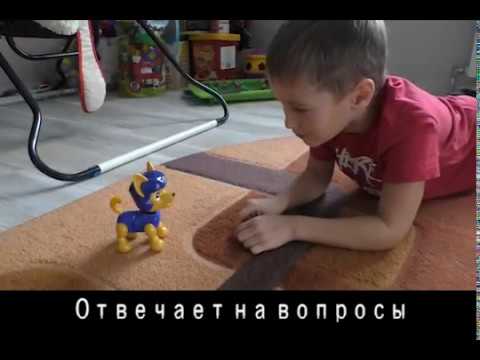 Умный щенок. Интеллектуальная игрушка