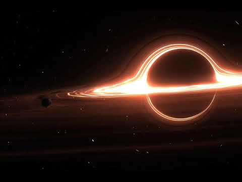 Beetseekers - Extravagance