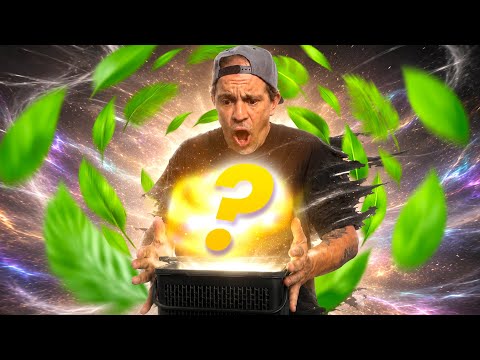 J’AI ACHETÉ L’UN DES SERPENTS LES PLUS CHERS DU MONDE (énorme craquage)- TOOPET