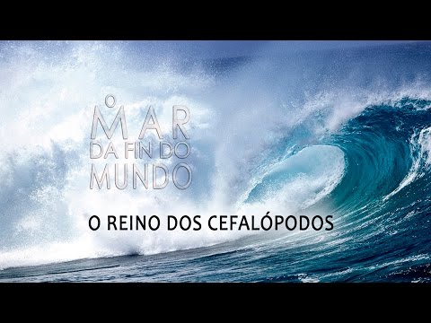 Vídeo: O mar da fin do mundo I (O reino dos cefalópodos)