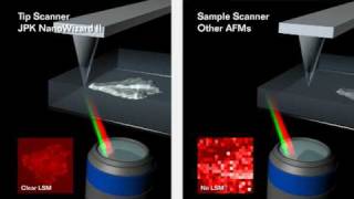 Atomic Force Microscopy - JPK NanoWizard® AFM - tip scanner vs. sample scanner