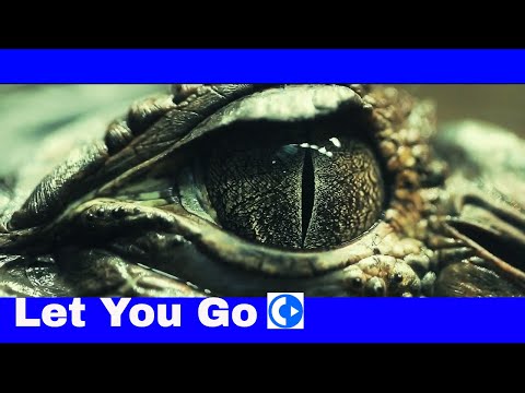 Sebastian Forslund feat. Daxten - Let You Go - Daxten Remix - music video by ChillSelector