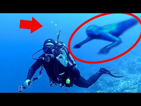 5 Mysterious Underwater Creatures Caught on Camera & Spotted in Real Life Video