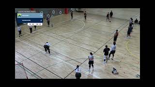 混合小組 Eveelution