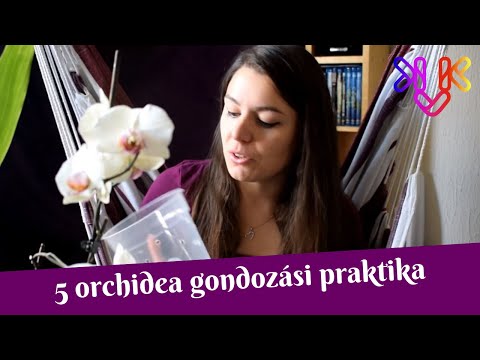 , title : 'Orchidea gondozása | 5 praktika, ami segíti az orchideák fejlődését'