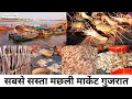Fish Market Umbergaon Gujarat Wholesale Fish Market Dry Fish Market Machali Bajar PramodMVlogs