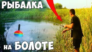Ссылка