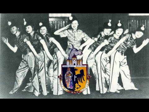 Narrhalla Rottweil - Archivbilder 1936 bis 1938