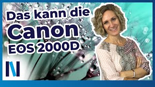 Canon EOS 2000D: Review – Diese Vorteile und Funktionen hat die Digitalkamera zu bieten! (deutsch)