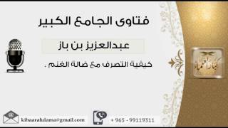 كيفية التصرف مع ضالة الغنم - بن باز - مشروع كبار العلماء image