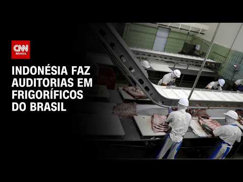 Carne bovina: Indonésia faz auditorias em frigoríficos brasileiros | CNN AGRO NEWS