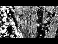 STRYDWOLF - DUNKLE WÄLDER 
