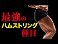 【筋トレ】ハムストリングを鍛えるのに最も効果的な種目 | 現役ボディビルダーが解説【ビーレジェンド プロテイン】