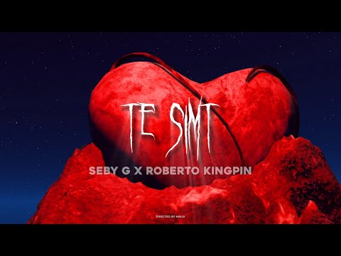 Kingpin x Seby G - Te simt