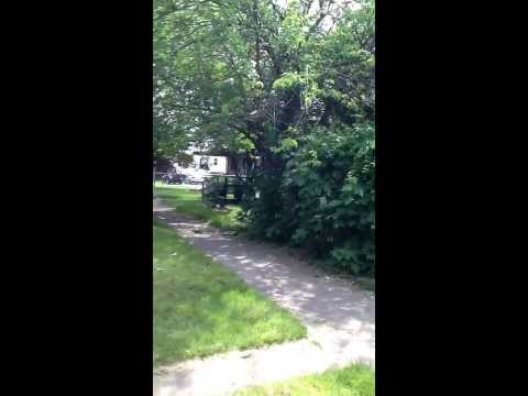 MACHOMAN MOVING AND DELIVERY COMEDY ON THE JOB! Moving company Columbus Ohio 614-407-4880