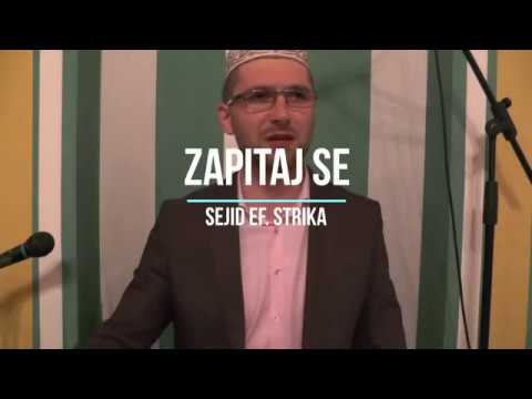 Zapitaj se - Sejid ef. Strika