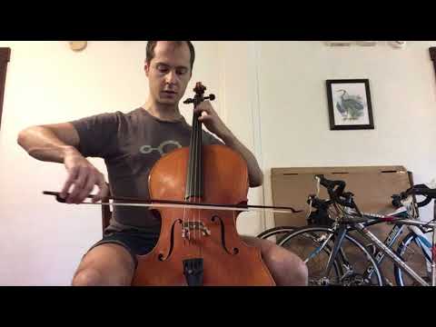 Tenor Violin (half-size cello tuned GDAE) image 26