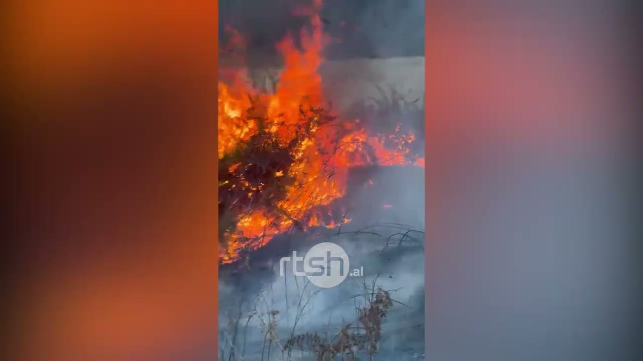 Zjarr në Liqenin e Viroit në Gjirokastër, flakët përfshijnë sipërfaqe me bar dhe shkurre