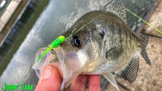 BANK FISHING FOR CRAPPIE - These TIPS will Help YOU Catch More CRAPPIE