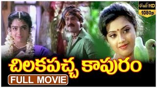 Chilakapachcha Kaapuram-చిలకపచ్చకాపురంTelugu Full Movie | Jagapathi Babu | Soundarya | Meena | TVNXT