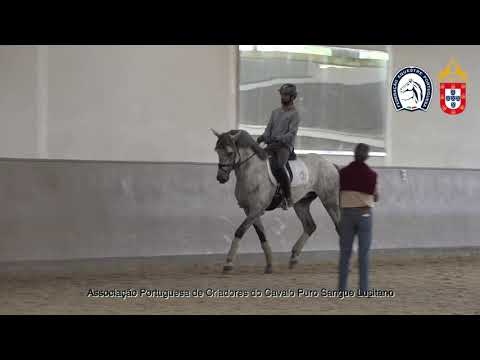 220902 3 Proj Ensino APSL&FEP - David Amorim com Níquel