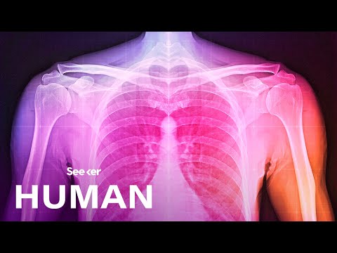 あなたの体はどのように正確に保持されていますか？ (How Exactly Is Your Body Held Together?)