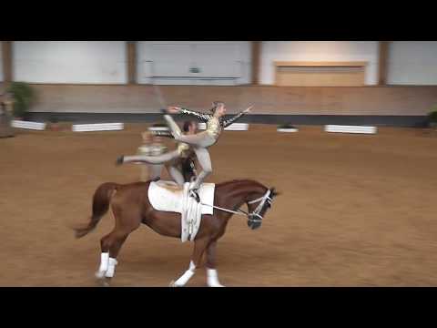 Bayerische Meisterschaften 2019 - Voltigieren - Gruppe Weicht 1