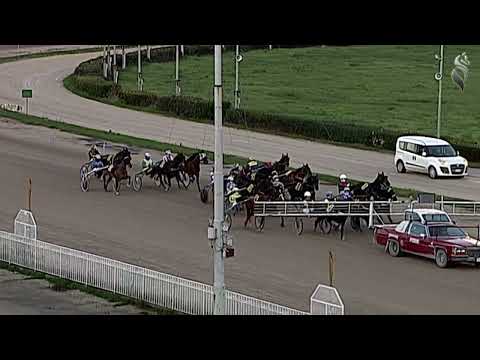 Aversa trotto 17 Dicembre 2022 - 8° Corsa