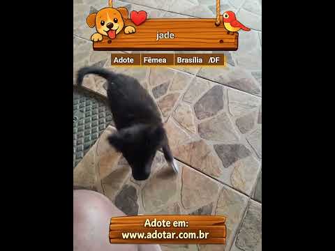 Vídeo de jade