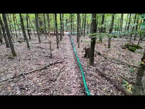 15.10.25 wanderung um die rodungsfläche im Langeler Bannwald bei Frankfurt