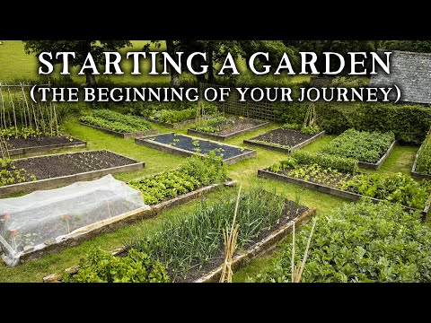 Vegetable Gardening | Straight Talk for People Starting to Grow Food