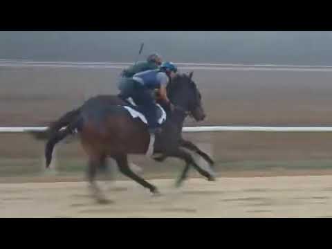 Most Essential (Essential Quality - Dixie Serenade) December 27, 2025