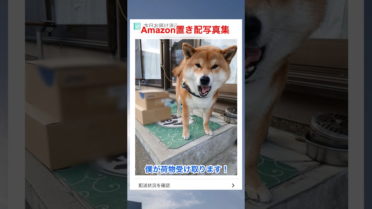 Amazon置き配写真集！