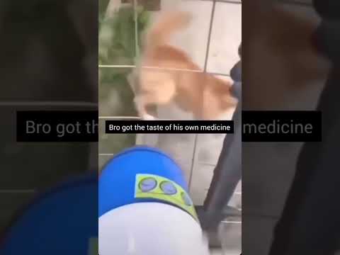 bro got a taste of his own medicine