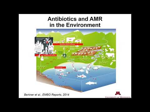 Antibiotics in the Environment: What Do We Know and What Is the Veterinary Role?