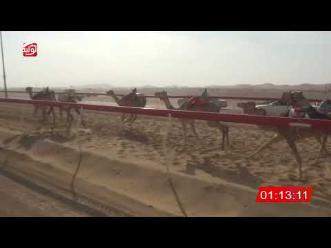  ش 27 (ملاك) لـ محمد عمر أبو زايد 2:07 , شارة الصندوق 2026/04/25 فطامين الروضة