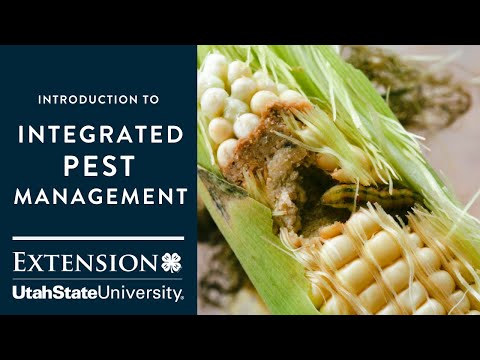 Introduction to Integrated Pest Management