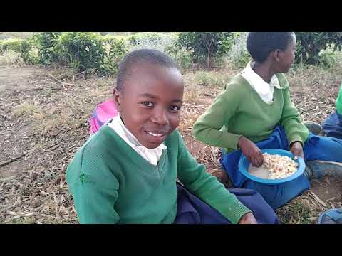 SHULE YA MSINGI IGODA MUFINDI IPO KIJIJINI ILA WATOTO WANAKULA VIZURI