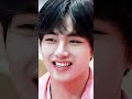 I Love You BTS V Love Hindisong Bts Song