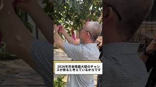 #日本株 #日経平均 #株式投資 #短期投資 #長期投資 #株初心者 #資産運用 #資産形成 #高配当株 #株価予測 #トレード初心者 #投資戦略